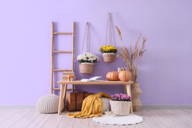 Sonbahar dekoru ve kasımpatı çiçekleri olan bankta, odada leylak duvarın yanında.