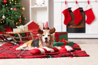 Evde Noel ağacının yanında saç bantlı, hediye kutularıyla şeker kamışlı şirin bir köpek yatıyor.