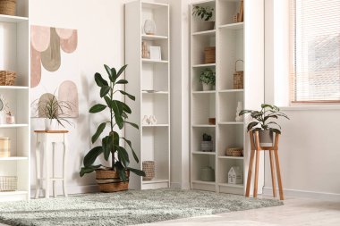Rafların, dekorun ve ev bitkilerinin bulunduğu şık bir oda.