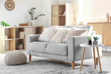 Gri kanepesi, kitaplığı ve kitapları olan şık bir oturma odası.