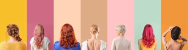 Renkli arka planda farklı saç modelleri olan bir grup güzel genç kadın.