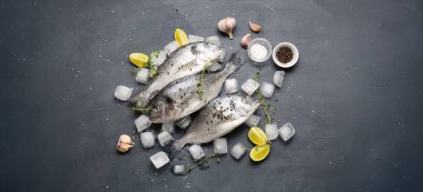 Çiğ dorado balığı, buzlu ve baharatlı, gri arka planda, üst manzara.