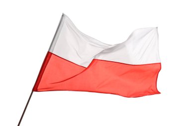 Beyaz arka plan üzerinde izole Polonya bayrağı