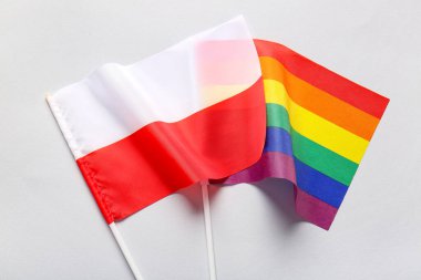 Gri arkaplanda Polonya ve LGBT bayrakları