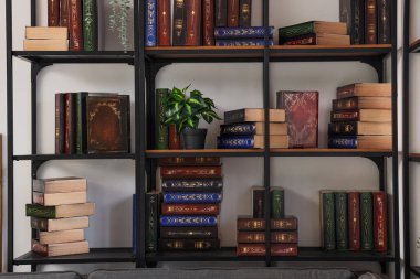 Ev kütüphanesinde kitapları olan modern raf ünitesi