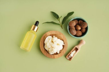 Renkli arka planda bir kase Shea yağı, fındık ve gerekli yağ içeren kompozisyon
