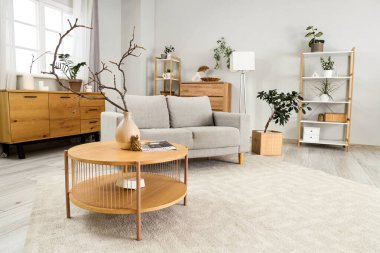 Gri kanepesi, raf ünitesi ve sehpası olan modern bir oturma odası.