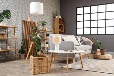 Kanepesi, raf ünitesi ve bitkileri olan modern oturma odasının içinde.