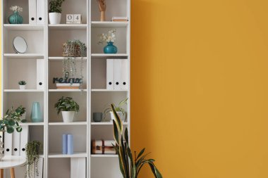 Ofisteki sarı duvarın yanında saksılar ve raflar.