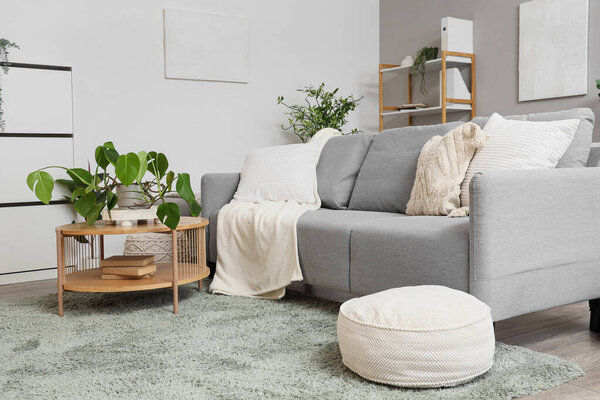 Cozy sofa, coffee table with houseplant and pouf in interior of living room