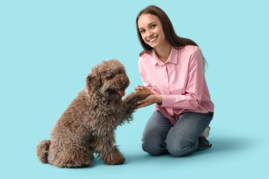 Genç bir kadın mavi arka planda sevimli kahverengi kaniş köpeği eğitiyor.