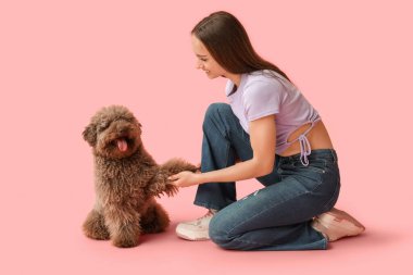 Genç bir kadın pembe arka planda sevimli kahverengi kaniş köpeğini eğitiyor.