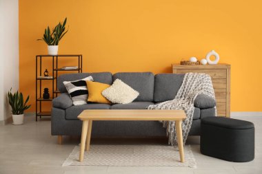 Yumuşak kanepe, kareli yastıklar, puf ve kahve masası oturma odasında.