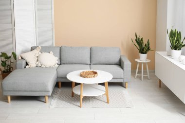 Yastıklı rahat kanepe, sehpa, çekmeceler ve oturma odasında katlanır ekran.