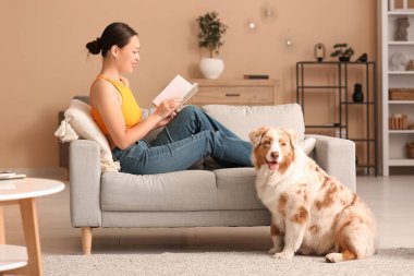 Avustralya çoban köpeğiyle dergi okuyan genç bir kadın oturma odasındaki yumuşak kanepede