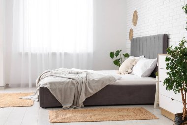 Büyük yataklı, çekmeceli ve bitkilerle dolu modern bir oda.