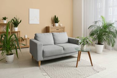 Kanepe, cam masa ve modern oturma odasının içindeki farklı bitkiler.