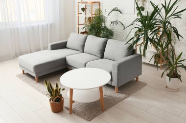 Rahat bir kanepe, masa ve aydınlık oturma odasının içindeki farklı bitkiler.