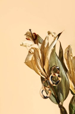 Bej arka planda güzel küpeleri olan kurumuş çiçek.