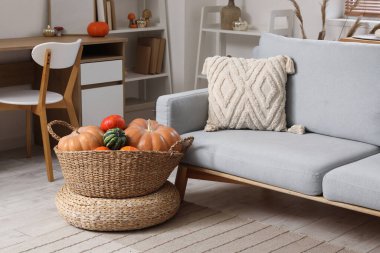 Oturma odasındaki gri kanepenin yanında farklı balkabakları olan hasır sepet.