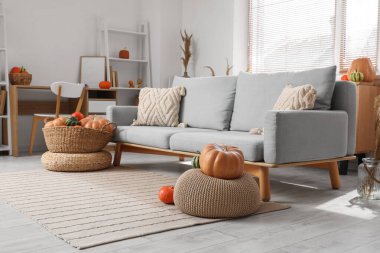 Oturma odasının içinde gri kanepe, sepet dolusu farklı balkabağı ve sepet var.