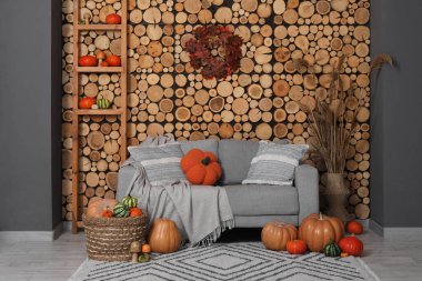 Merdiveni olan gri kanepe ve tahta odunların yanında farklı balkabaklarından oluşan hasır sepet.