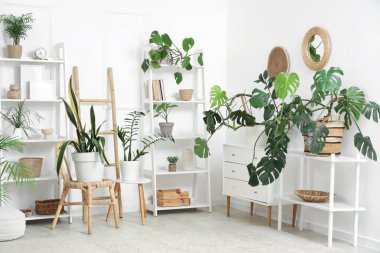 Raflarla, şifoniyerle ve farklı çiçeklerle aydınlık oturma odasının içinde.