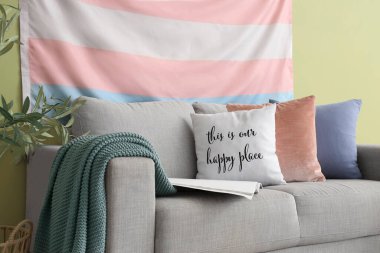 Yastıklı kanepe, dergi ve yeşil duvarda asılı transseksüel bayrak oturma odasında.