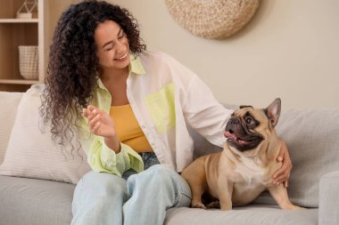 Evdeki kanepede oturan sevimli Fransız bulldoguyla güzel bir Afro-Amerikalı kadın.