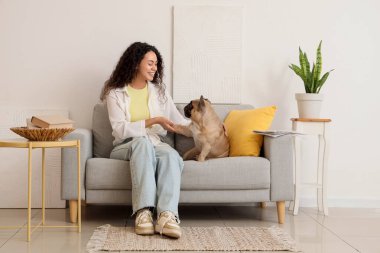 Tatlı Fransız bulldog 'u, oturma odasındaki kanepede oturan güzel Afro-Amerikan bayana pençe atıyor.