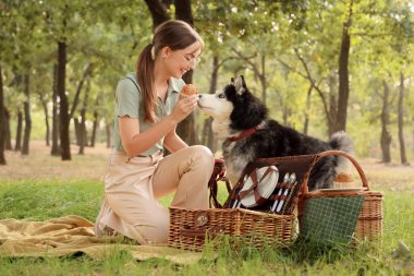 Parkta piknikte tatlı keki ve şirin Husky köpeği olan güzel genç bir kadın.