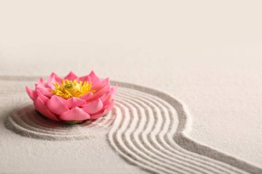 Kumda desenli güzel bir çiçek. Zen kavramı