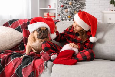 Evdeki kanepede oturan Fransız bulldoglu ve Noel şapkalı şirin küçük kız.