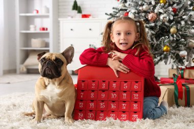 Evde Fransız bulldogu ve Noel takvimi olan sevimli küçük bir kız.