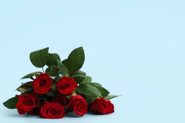 Mavi arka planda güzel kırmızı güller. Sevgililer Günü kutlaması