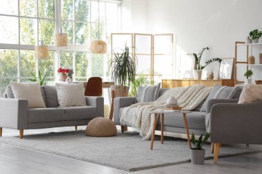 Gri kanepeler, katlanır ekran ve bitkilerle dolu oturma odasının içinde.