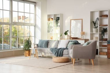 Oturma odasının içinde kanepe, koltuk ve yeşil bitkiler var.