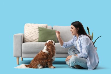 Güzel genç bayan mavi arka planda yakışıklı şövalye Kral Charles Spaniel ile oynuyor.
