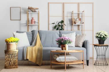 Gri kanepeli, masalı ve kasımpatı çiçekli aydınlık oturma odasının içi.