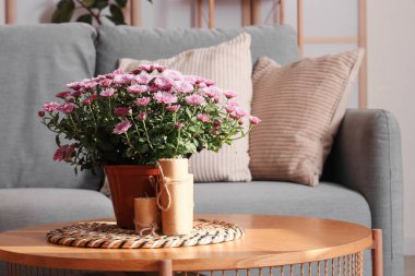 Oturma odasındaki masada mum bulunan pembe kasımpatı çiçekleri, yakın plan.