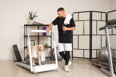 Su şişeli genç bir adam ve spor salonunda koşu bandında Avustralya çoban köpeği.