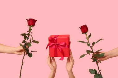 Hediye kutusu ve pembe arka planda kırmızı güller olan kadın elleri. Sevgililer Günü kutlaması