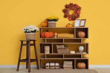 Sonbahar dekoru ve kasımpatı çiçekli raf odası sarı duvarın yanında.