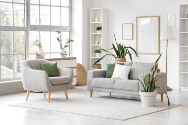 Gri kanepe, koltuk ve yeşil bitkilerle aydınlık oturma odasının içinde.