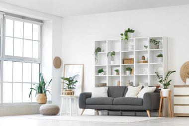 Siyah kanepe, raf ünitesi ve yeşil bitkilerle aydınlık oturma odasının içinde.