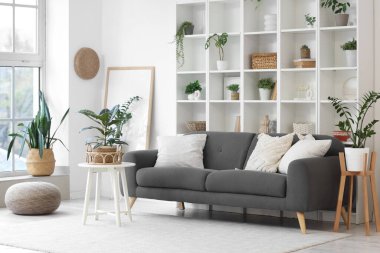 Siyah kanepe, raf ünitesi ve yeşil bitkilerle aydınlık oturma odasının içinde.