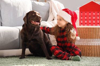 Labrador köpeği evde otururken Noel Baba şapkalı şirin kız.