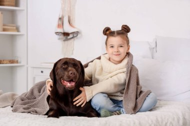 Sevimli mutlu kız ve Labrador köpeği evde yatakta oturuyor.