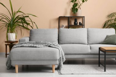 Gri kanepesi, çiçekleri, sehpası ve raf ünitesi olan oturma odasının içinde.