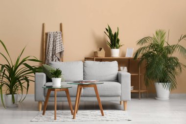 Gri kanepesi, çiçekleri, sehpası ve raf ünitesi olan oturma odasının içinde.